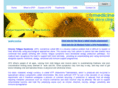 cfsmedicine.co.uk