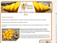 elisama.com