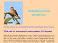 nectkestrels.com