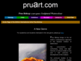 pruart.com