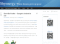 shynnergy.com