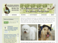 gohollywoodgrooming.com