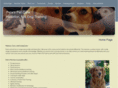 petepetcare.com
