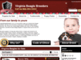 virginiabeaglebreeders.com
