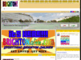 brightonalive.com