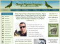 cheappigeontraps.com