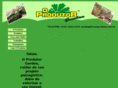 floraoprodutor.com