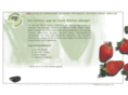 frische-express.com