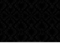 shawneden.com