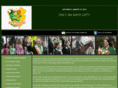 trentonparade.com