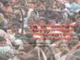bengalvoice.com