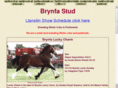 brynfa.com