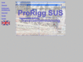 prorigg.com