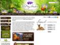 smokymountaincabinvacation.com