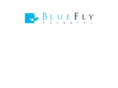 blueflynetworks.com