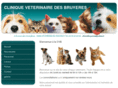 cliniqueveterinairedesbruyeres.com