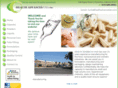 healthadvanceslab.com