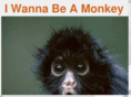 iwannabeamonkey.com