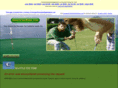 seattleteetime.com