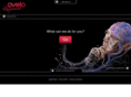 avelo.com