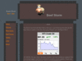 beefstorm.com