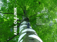 axelolejnik.com