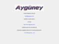 ayguney.com