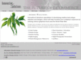 innovativeesolutions.com