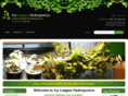 ivyleaguehydroponics.com