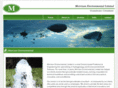 morrison-environmental.com