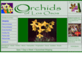 orchidsoflososos.com