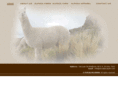 perualpacayarn.com