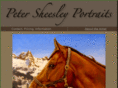 petersheesleyportraits.com