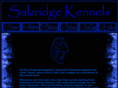 salzridge.com