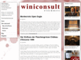 winiconsult.com