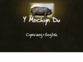 ymochyndu.com