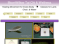 moonwillowtaichi.com