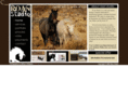 roanstudio.com