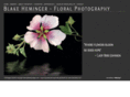 blakeheminger.com