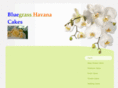 bluegrasshavanacakes.com