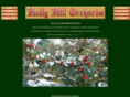 hollyhillorchards.com