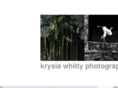 krysiawhitty.com