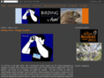 birdingisfun.com