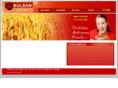bulsanbulgur.com