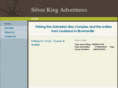 fishingguidegalveston.com