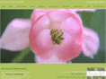 harmonyhillbedandbreakfast.com
