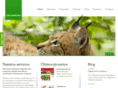 innovacionesweb.com