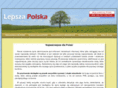 lepszapolska.com