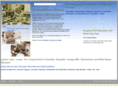 myyoungschool.com