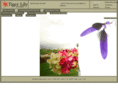 tigerlilystores.com